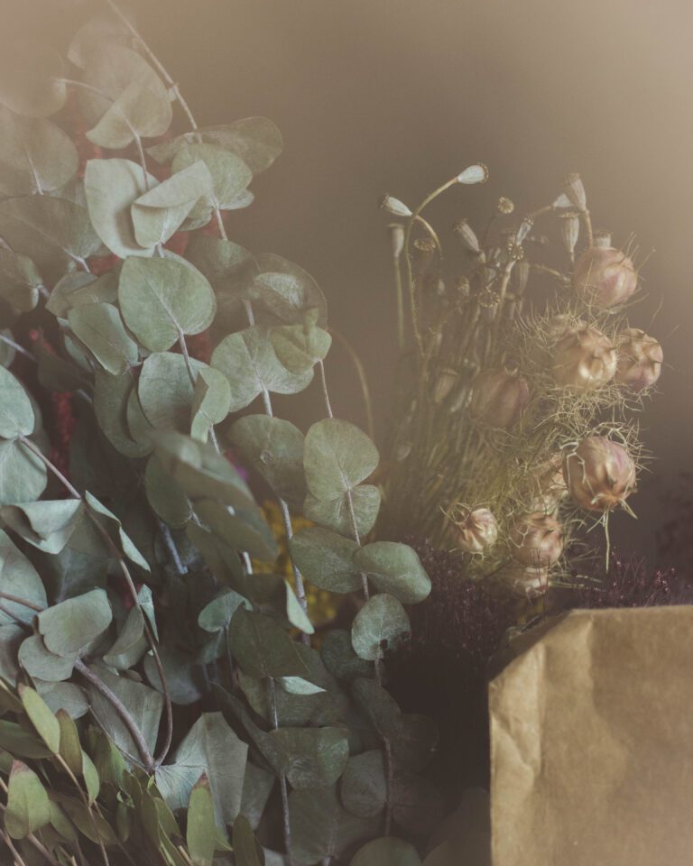 Fond floral Aurélia R. pour Méroia atelier